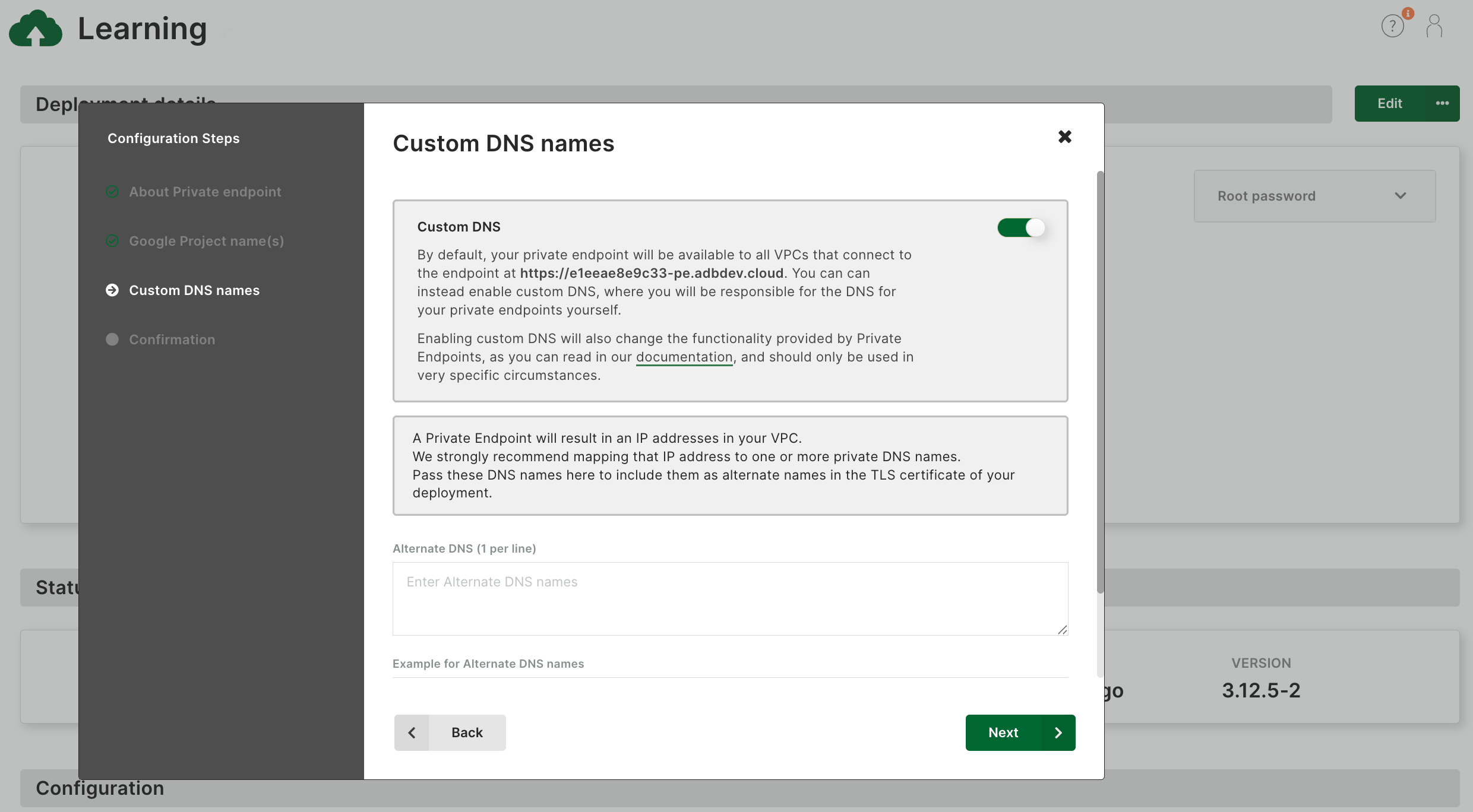 ArangoGraph Private Endpoint Custom DNS